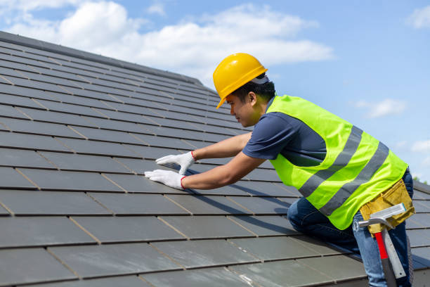 Best Roof Gutter Cleaning  in Fallon, NV