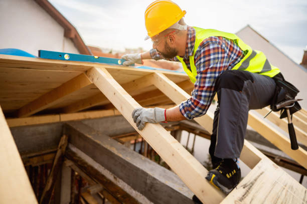 Best Roof Maintenance Services  in Fallon, NV